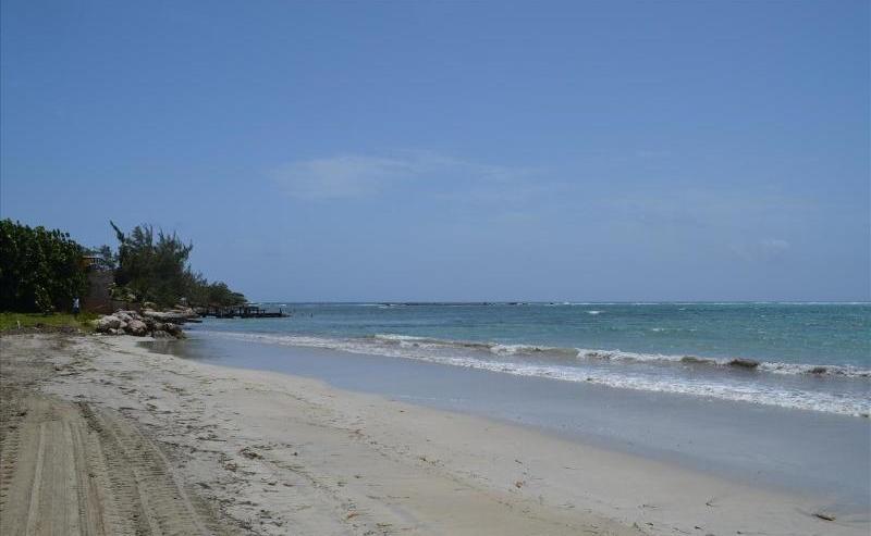 Ocho Rios Under The Palms Villa Ngoại thất bức ảnh