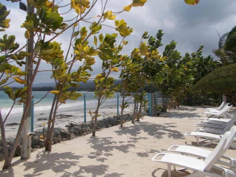 Ocho Rios Under The Palms Villa Ngoại thất bức ảnh