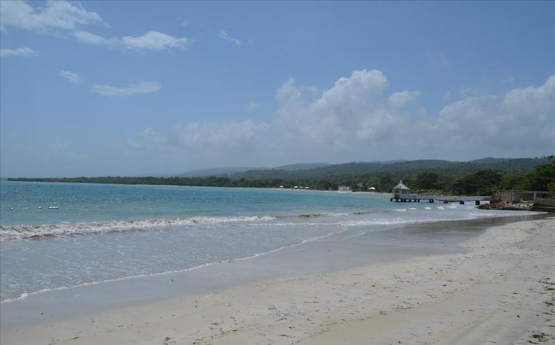Ocho Rios Under The Palms Villa Ngoại thất bức ảnh